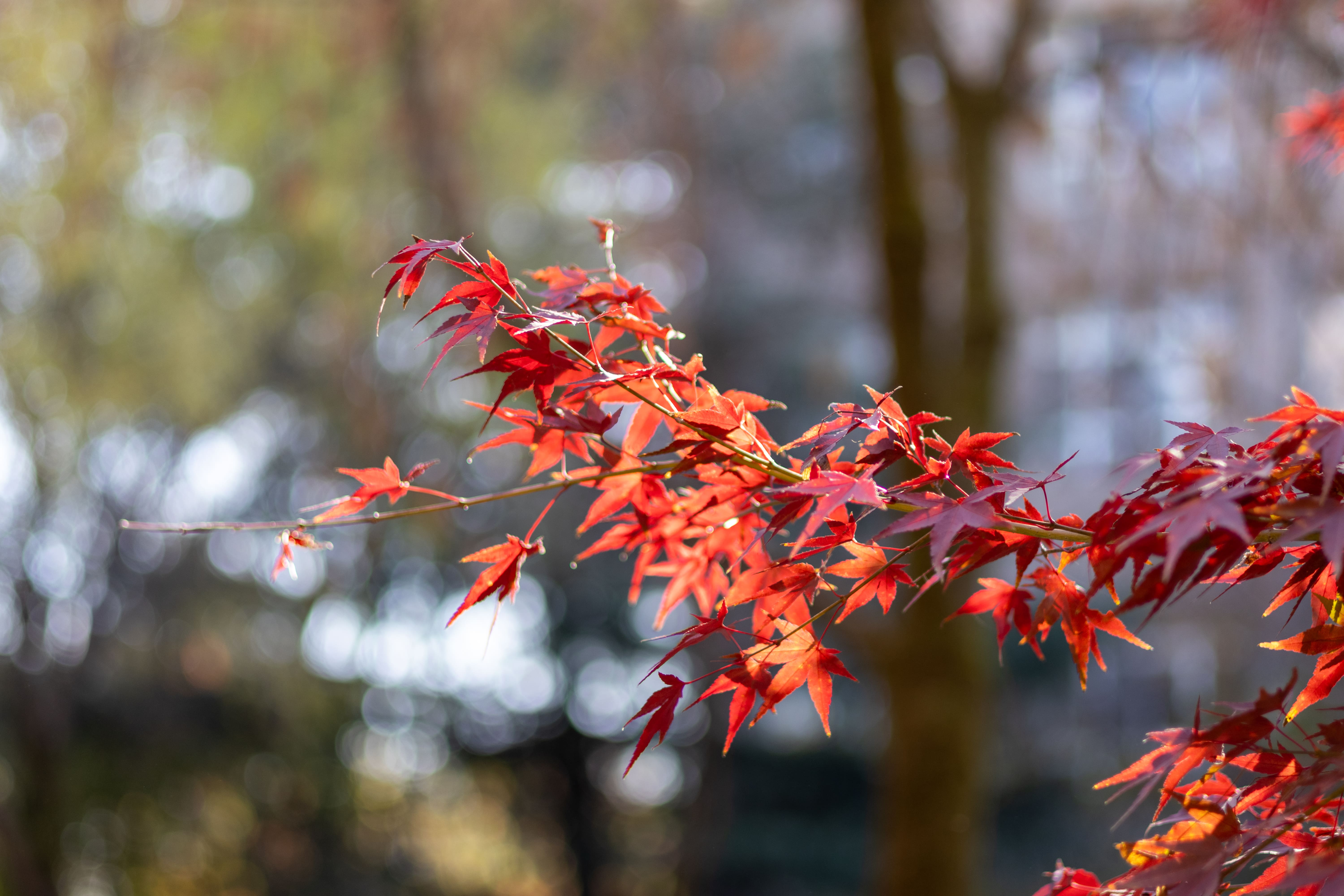 新Java项目开发环境搭建常见问题